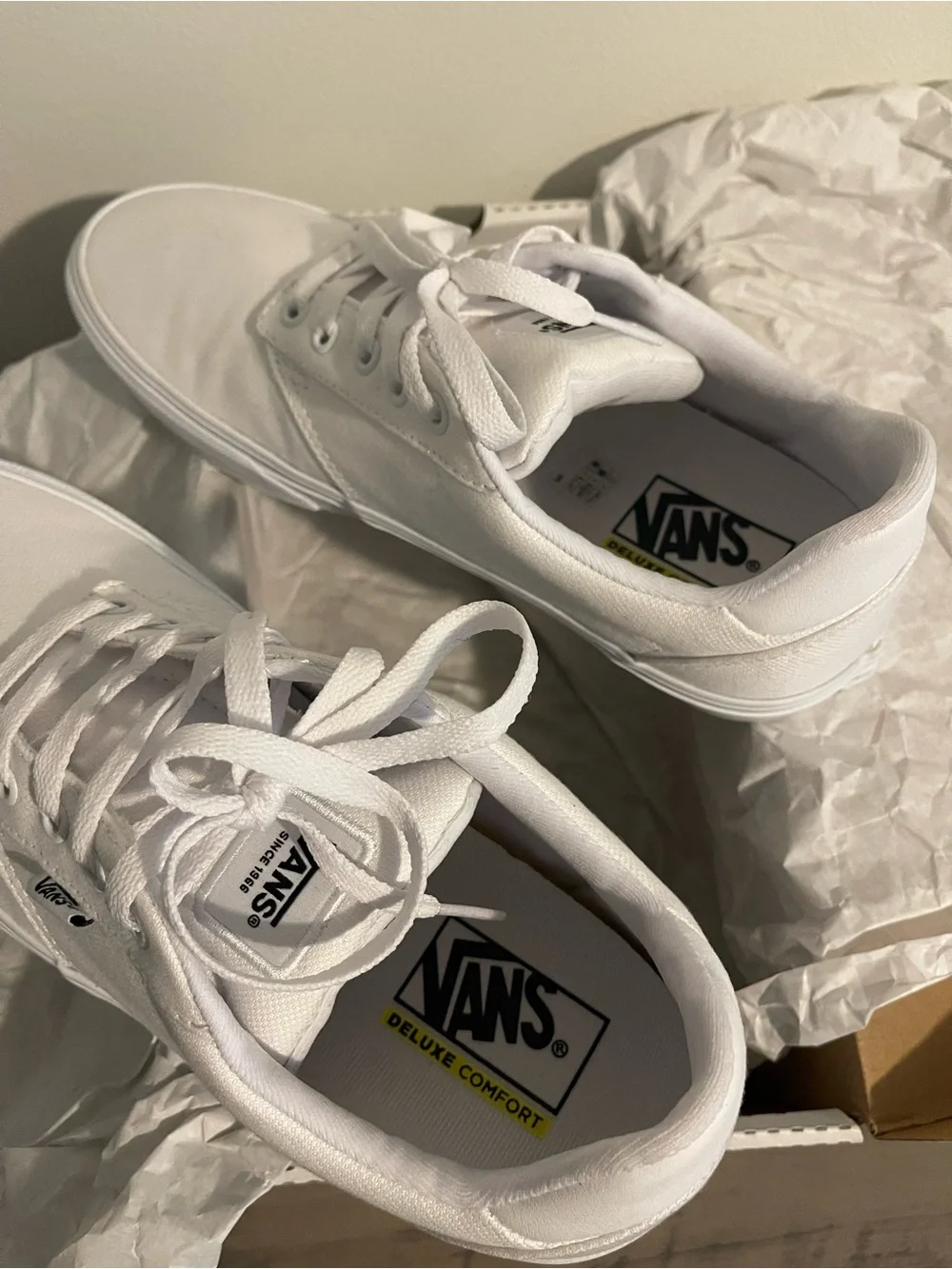 Vans White Men's Low-Top Canvas Sneakers